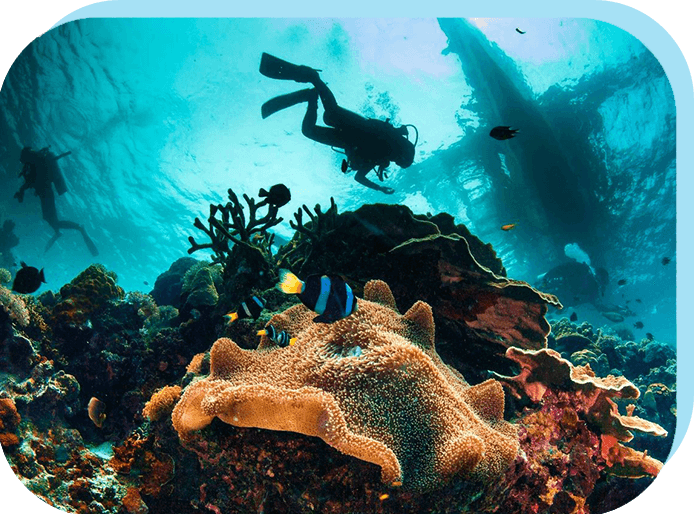 A scuba diver swimming over some coral in the ocean.