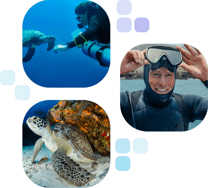 A collage of pictures with people in scuba gear